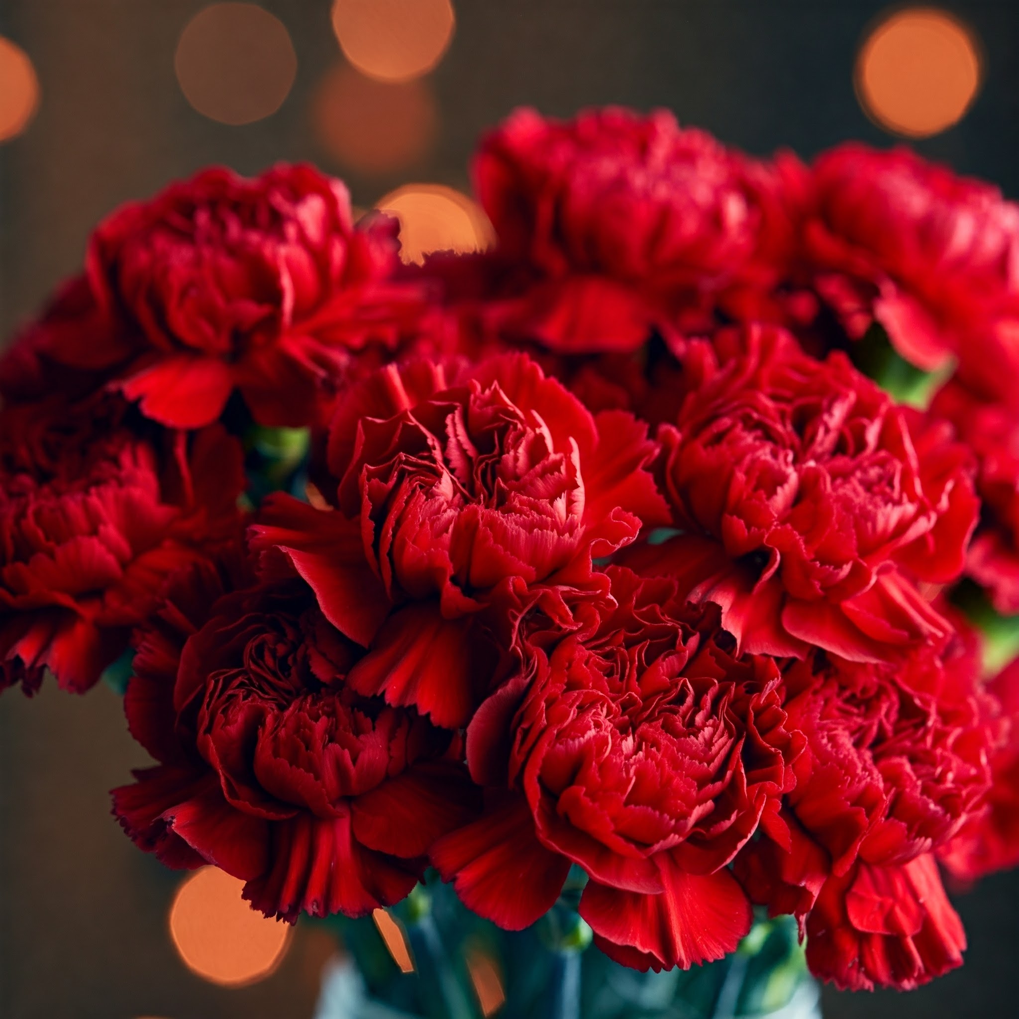 red carnations