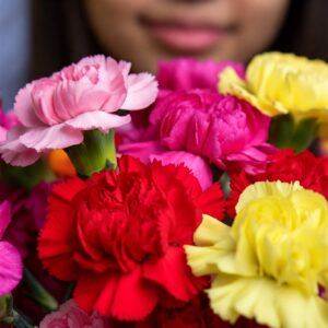 carnations in bulk for school fundraisers